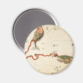 "Sternzeichen: Fische" Magnete Magnet (Vorderseite/Rückseite)