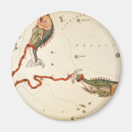 "Sternzeichen: Fische" Magnete Magnet (Vorne)