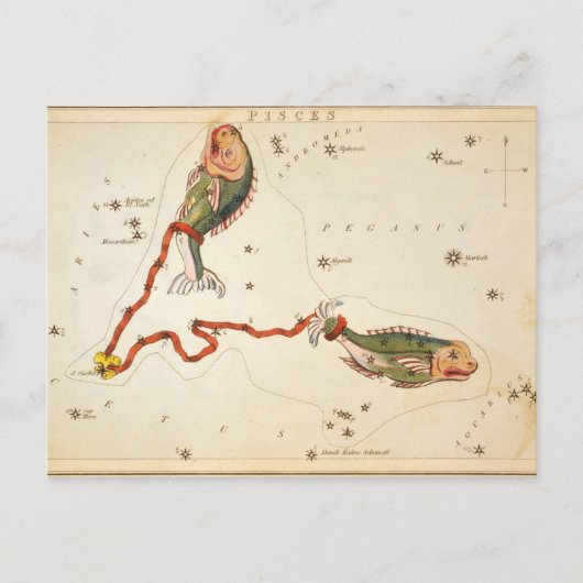 "Sternzeichen: Fische" Postkarte (Vorderseite)
