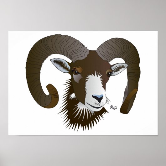 Sternzeichen - Widmungsplakat Poster (Vorne)