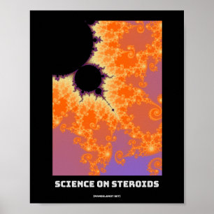 Steroidforschung Mandelbrot-Fraktal - Naturwissens Poster