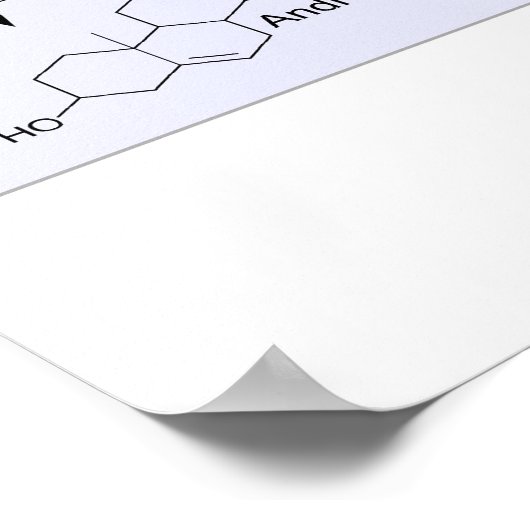 Steroidogenese Biologische Chemikalie Poster (Ecke)