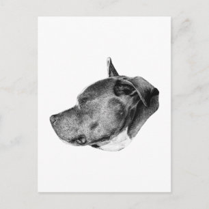 stete Loyalität Blick Postkarte