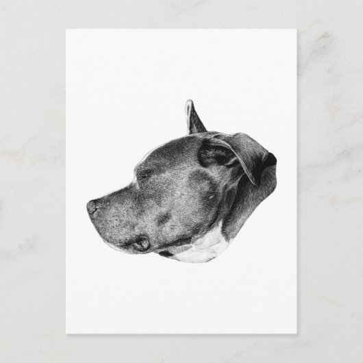 stete Loyalität Blick Postkarte (Vorderseite)