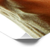 Stethoscoop in een hand voor een ziekenhuis sfeer. poster (Ecke)