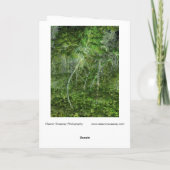 "Stetige Bäume" - Digital veränderter Wald Karte (Rückseite)