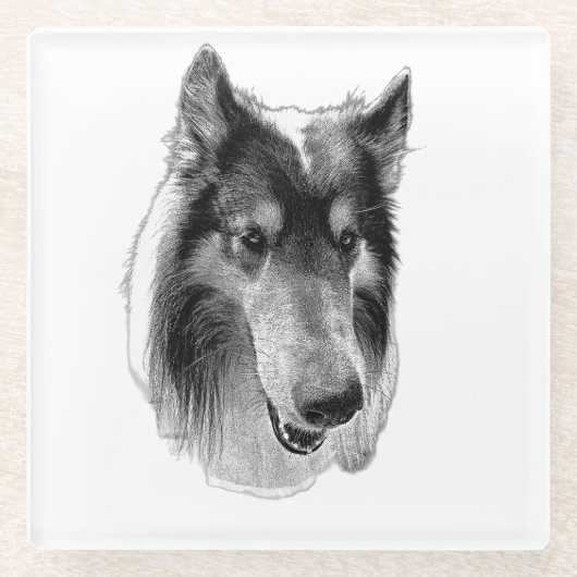 Stetige Oberfläche – Collie Glasuntersetzer (Vorderseite)
