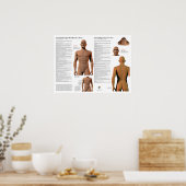 Steuerende Meridian-Akupunkturpunkte Poster (Küche)