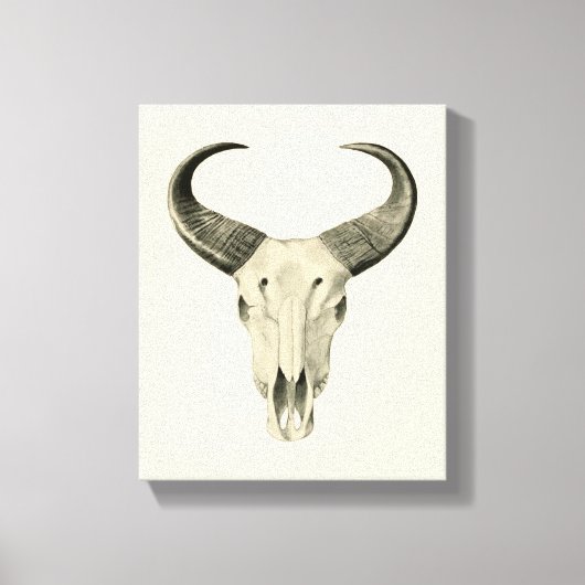 Steve Skull Canvas Print Leinwanddruck (Vorderseite)