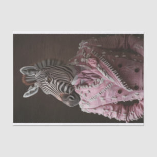 Steve the Zebra Seidenpapier