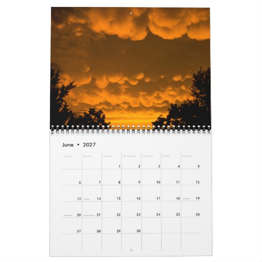 Steven Coy Fotografy Calendar 2019 Kalender (Jun 2027)