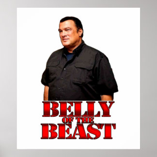 Steven Seagal Bauch der Bestie Poster