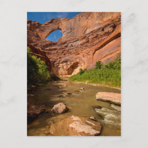 Stevens Arch - Escalante River - Utah Postkarte