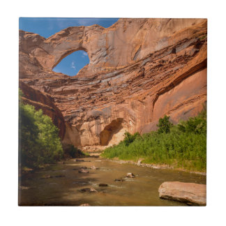 Stevens-Bogen - Escalante-Fluss- Utah Fliese