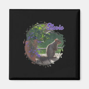 Stevie das Eichhörnchen Magnet