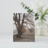 Stewart Park, Cayuga Lake Postkarte (Stehend Vorderseite)