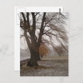 Stewart Park, Cayuga Lake Postkarte (Vorne/Hinten)