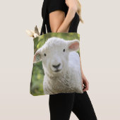Stewie Lamb Tasche (Von Nahem)