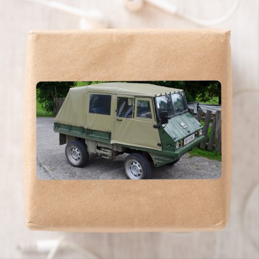 Steyr Puch Haflinger (Insitu)