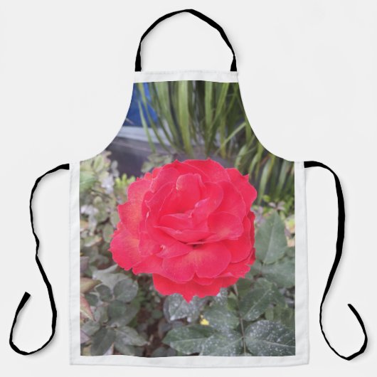 stich de schürze (Vorderseite)