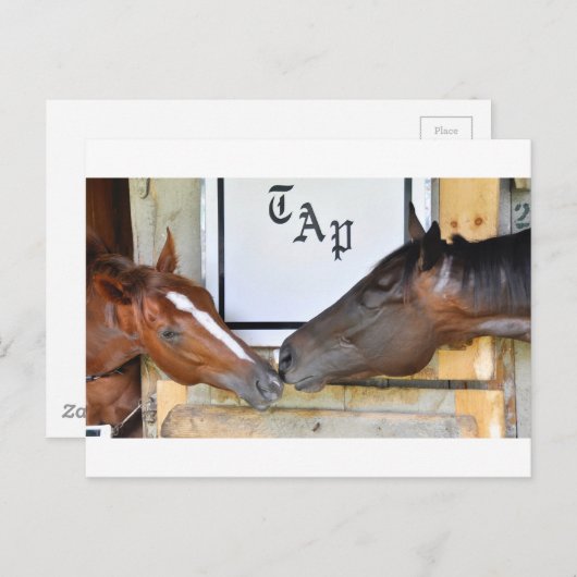 Stich mich abspulen postkarte (Vorne/Hinten)