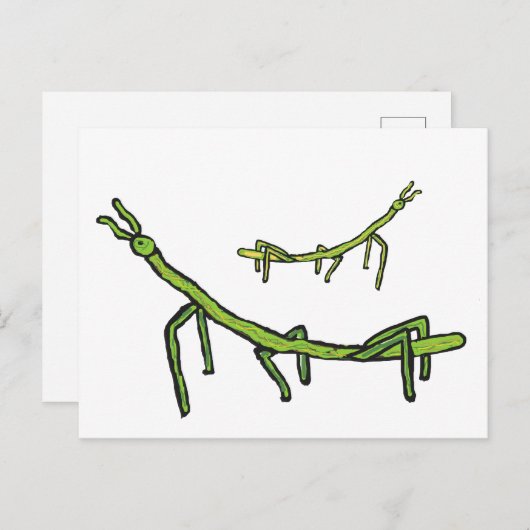 Stick Bug Insekt Postkarte (Vorne/Hinten)