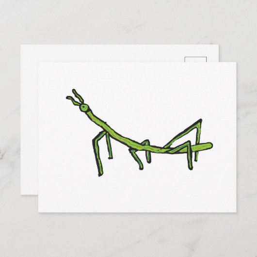 Stick Bug Insekt Postkarte (Vorne/Hinten)