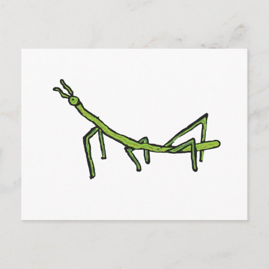 Stick Bug Insekt Postkarte (Vorderseite)