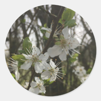 STICKEN SIE IHN - DIE HOFFNUNG RUNDER AUFKLEBER