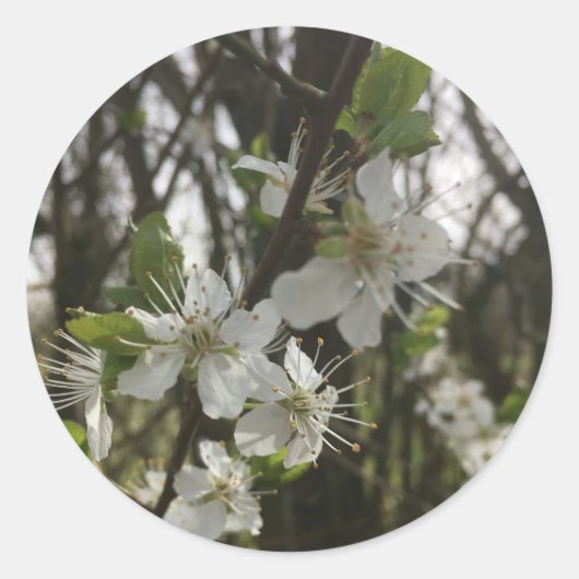 STICKEN SIE IHN - DIE HOFFNUNG RUNDER AUFKLEBER (Vorderseite)