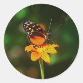 Sticker (Vorderseite)