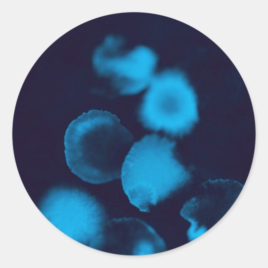 Sticker (Vorderseite)