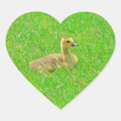 Sticker (Vorderseite)