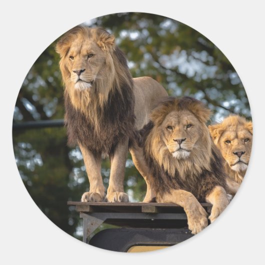 Sticker (Vorderseite)