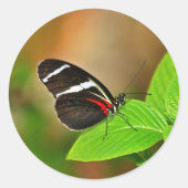 Sticker (Vorderseite)