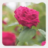 Sticker (Vorderseite)