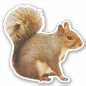 Sticker (Vorderseite)