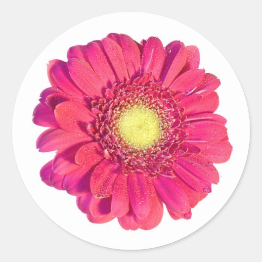 Sticker (Vorderseite)