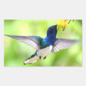 Sticker (Vorderseite)