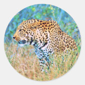 Sticker (Vorderseite)