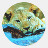 Sticker (Vorderseite)