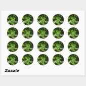 Sticker Adventure (Blatt)