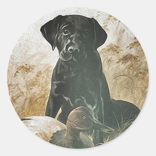 STICKER Black Lab Labrador Retriever Decoy Hund (Vorderseite)
