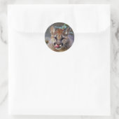 Sticker-cougar-cub10x10 Runder Aufkleber (Tasche)