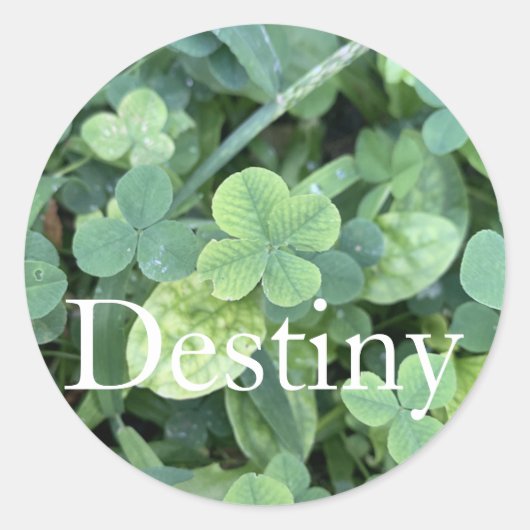 Sticker Destiny (Vorderseite)