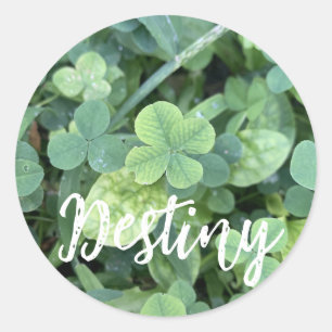 Sticker Destiny