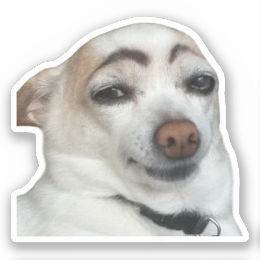 Sticker Eyebrow Dog Meme (Vorderseite)