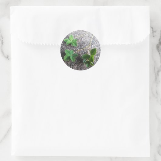 Sticker Four Leaf Clovers (Tasche)