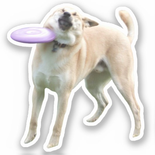 Sticker Frisbee Dog Meme (Vorderseite)