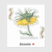 Sticker Fritillaria imperialis  (Blatt)